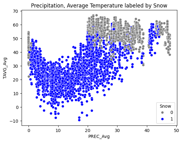 Historical Precipitation, Temperature, and Snow Labels